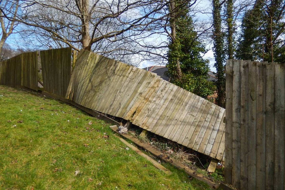 Deck and Fence Repair